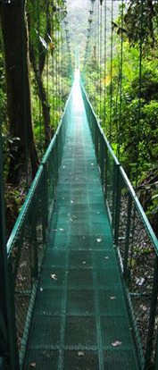 narrow suspended pedestrian bridge